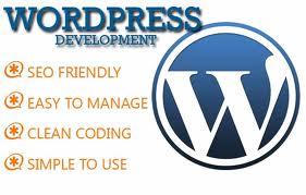 Wordpress development company